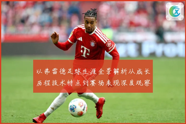 以弗雷德足球生涯全景解析从成长历程技术特点到赛场表现深度观察
