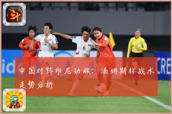 中国对阵印尼劲旅：汤姆斯杯战术走势分析