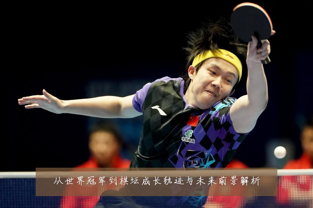 从世界冠军到棋坛成长轨迹与未来前景解析