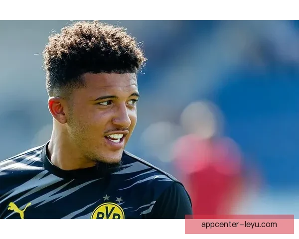 阿斯拉尼传闻入多特引援名单 双方尚未展开正式接触